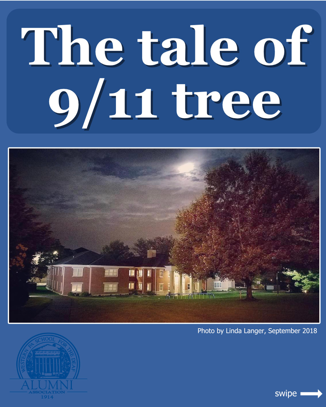 9/11 Memorial Tree