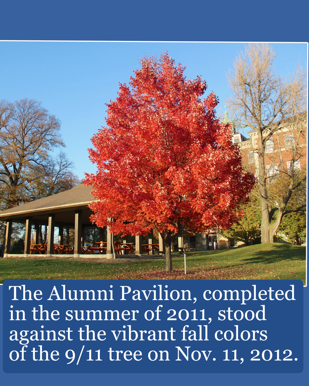 9/11 Memorial Tree – WPSD Alumni Association